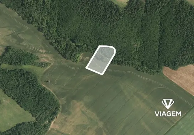 Prodej pole, Džbánice, 1119 m2