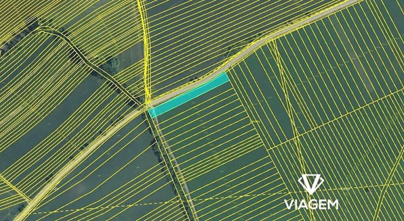 Prodej pole, Velká nad Veličkou, 2255 m2