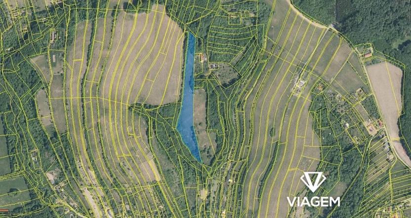 Prodej podílu pole, Košíky, 1691 m2