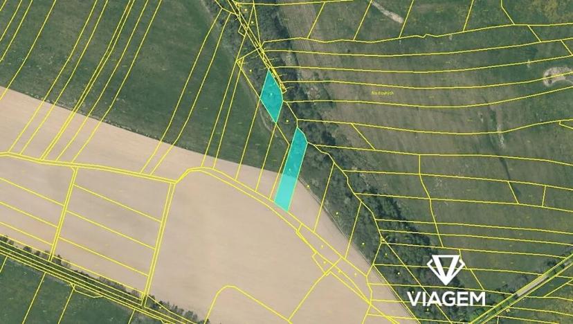 Prodej pole, Radenín, 2892 m2