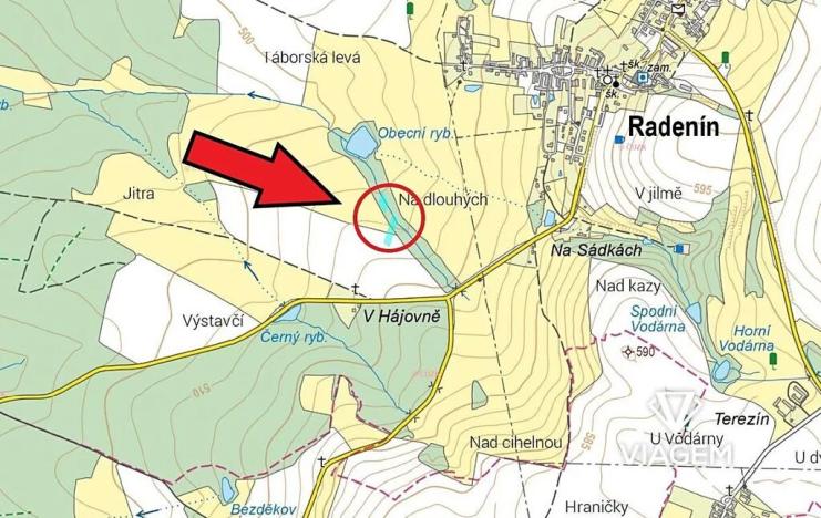 Prodej pole, Radenín, 2892 m2