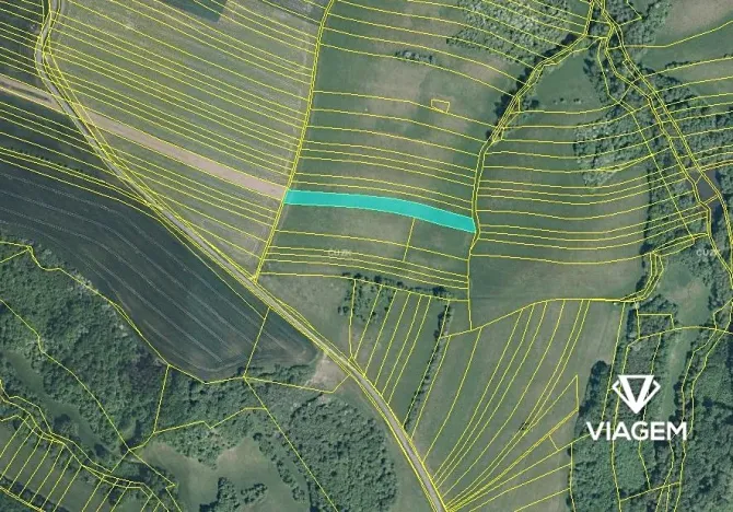 Prodej podílu pole, Částkov, 1165 m2