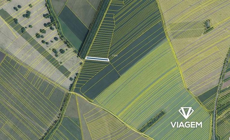 Prodej podílu pole, Velká nad Veličkou, 641 m2