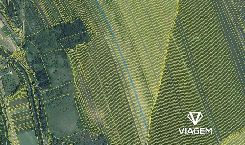 Prodej pole, Velká nad Veličkou, 4850 m2