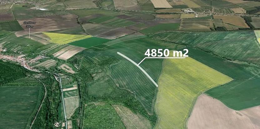 Prodej pole, Velká nad Veličkou, 4850 m2