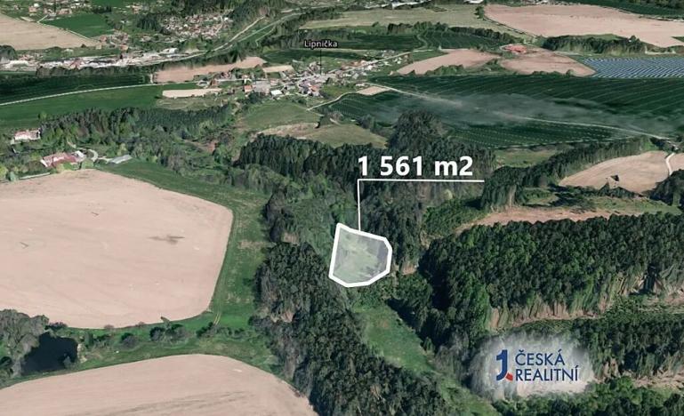 Prodej pole, Světlá nad Sázavou, 1561 m2