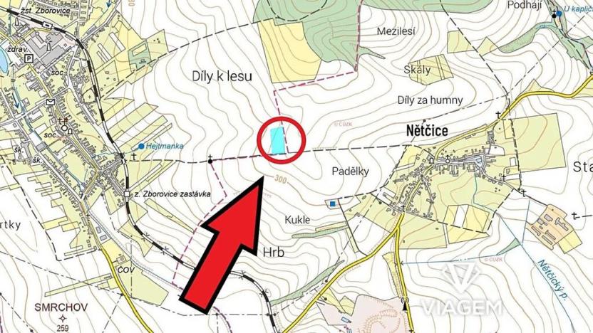 Prodej podílu pole, Zborovice, 6059 m2