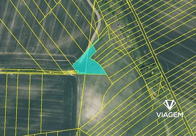 Prodej podílu pole, Litenčice, 1424 m2