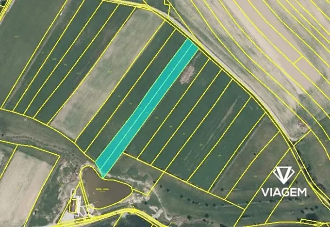 Prodej podílu pole, Kejžlice, 2768 m2