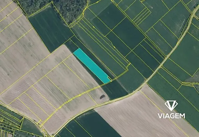 Prodej podílu pole, Velký Borek, 948 m2