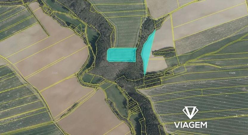 Prodej podílu pole, Šípy, 1011 m2