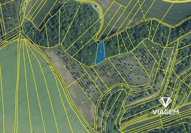 Prodej podílu pole, Kobylí, 791 m2