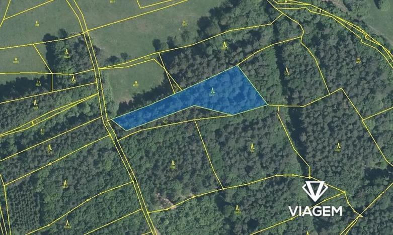 Prodej podílu lesa, Luhačovice, 2090 m2