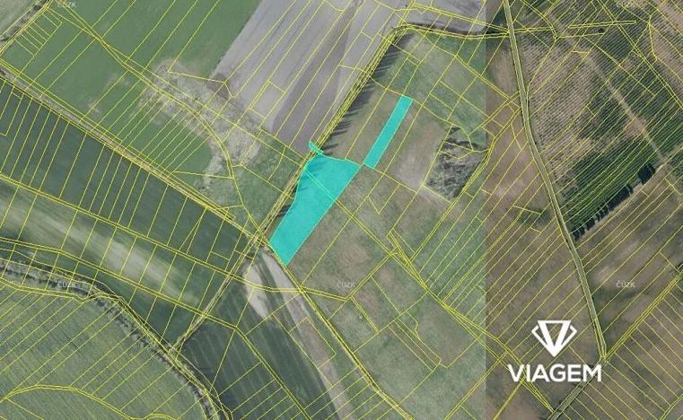 Prodej podílu pole, Horušice, 2895 m2