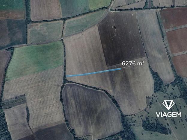 Prodej pole, Kněždub, 6276 m2