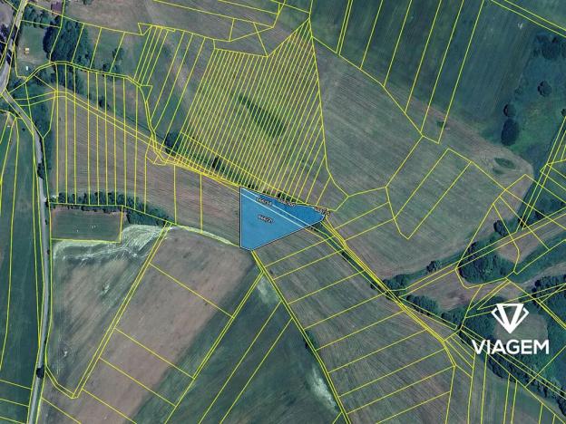 Prodej pole, Kbel, 4100 m2