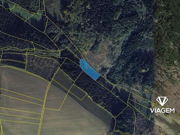 Prodej pole, Zbizuby, 2380 m2