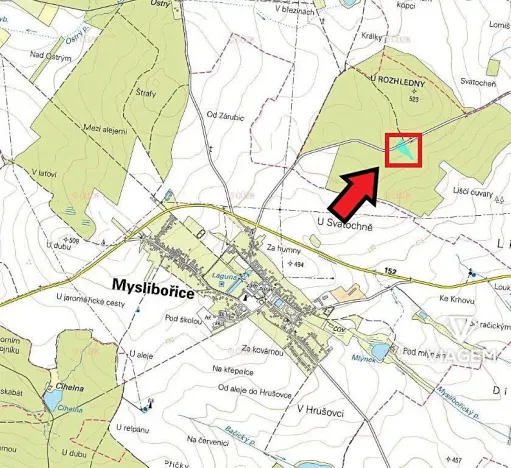 Prodej lesa, Račice, 5005 m2