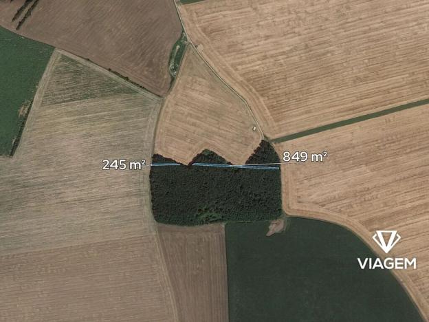 Prodej podílu lesa, Hluk, 547 m2