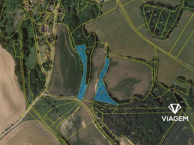 Prodej podílu lesa, Kravaře, 714 m2