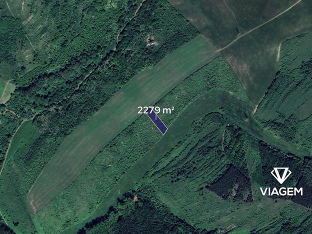 Prodej podílu pole, Hustopeče, 253 m2