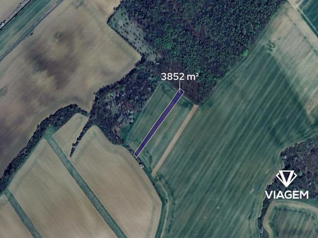 Prodej podílu pole, Soběsuky, 361 m2