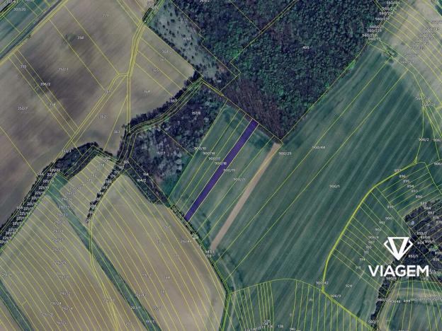 Prodej podílu pole, Soběsuky, 361 m2