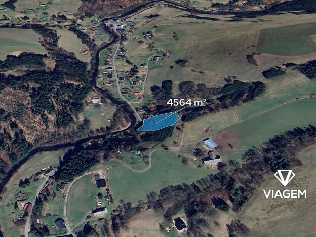 Prodej lesa, Klášterec nad Orlicí, 4564 m2