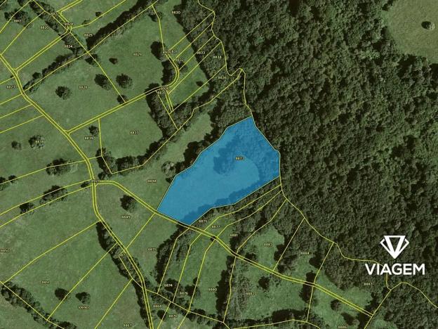 Prodej podílu pole, Javorník, 2814 m2