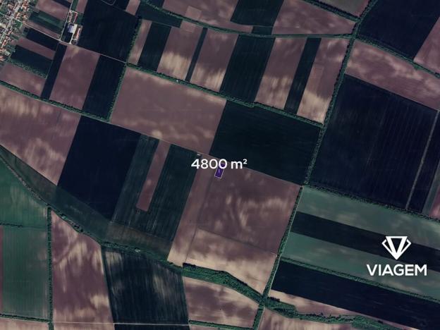 Prodej pole, Troskotovice, 4800 m2