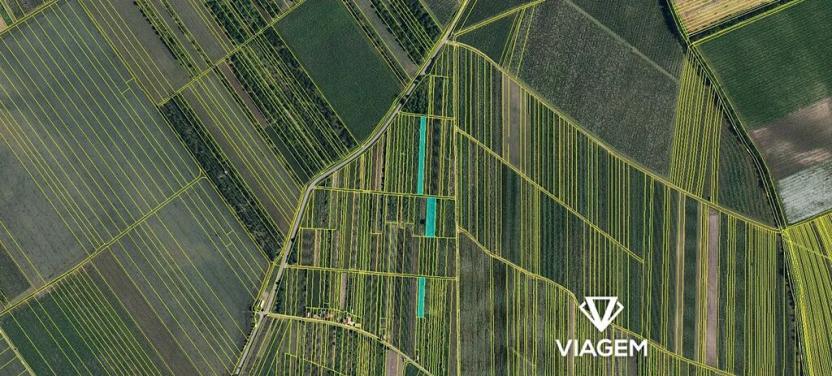 Prodej podílu pole, Moravský Žižkov, 1427 m2