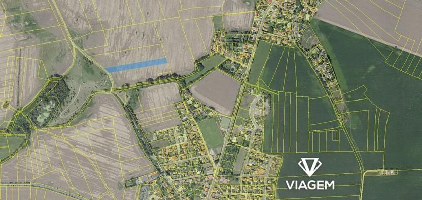 Prodej pole, Zlatníky-Hodkovice, 5571 m2