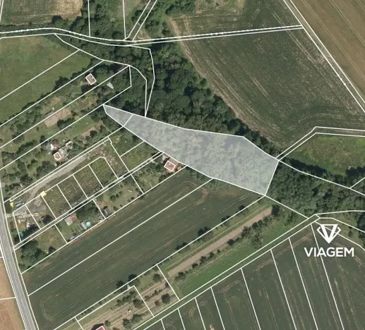 Prodej podílu lesa, Charváty, 596 m2