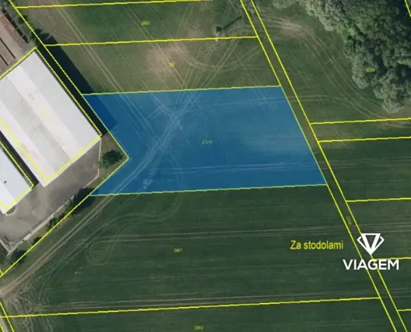 Prodej pole, Víceměřice, 5054 m2