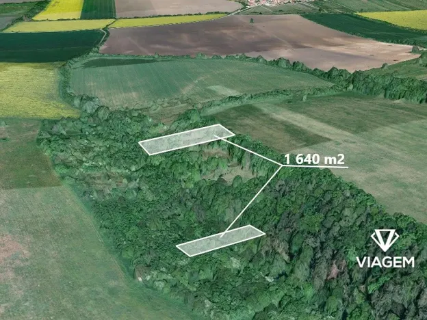 Prodej podílu lesa, Kněždub, 546 m2