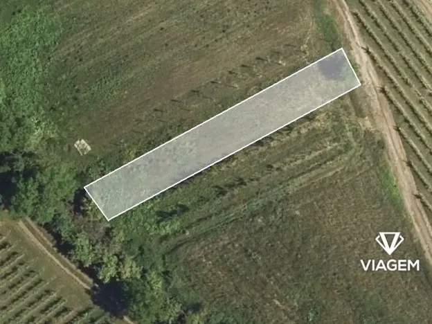 Prodej zahrady, Velké Bílovice, 388 m2