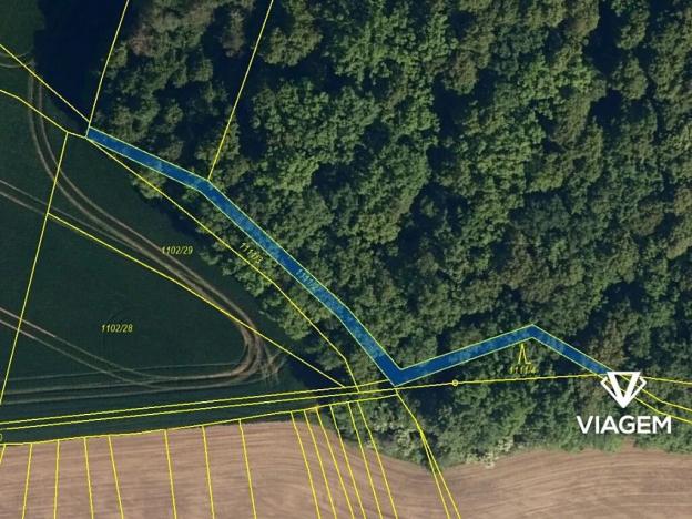 Prodej lesa, Hustopeče nad Bečvou, 347 m2