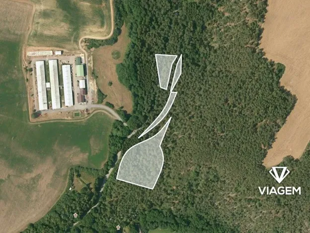 Prodej podílu lesa, Manětín, 2299 m2