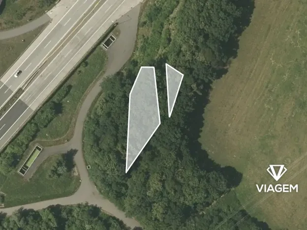 Prodej lesa, Klimkovice, 404 m2