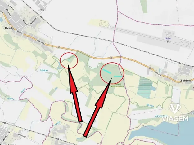 Prodej lesa, Kravaře, 7842 m2