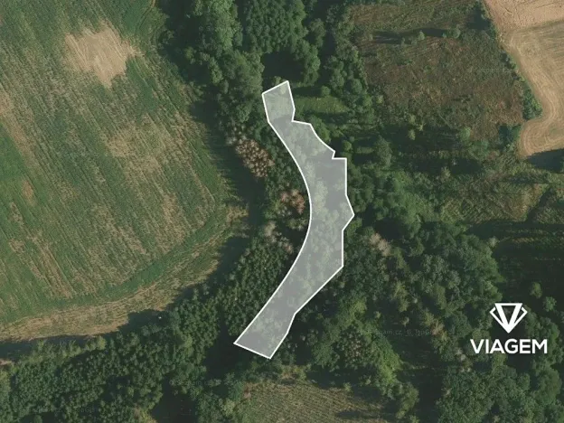 Prodej podílu lesa, Vilémov, 430 m2