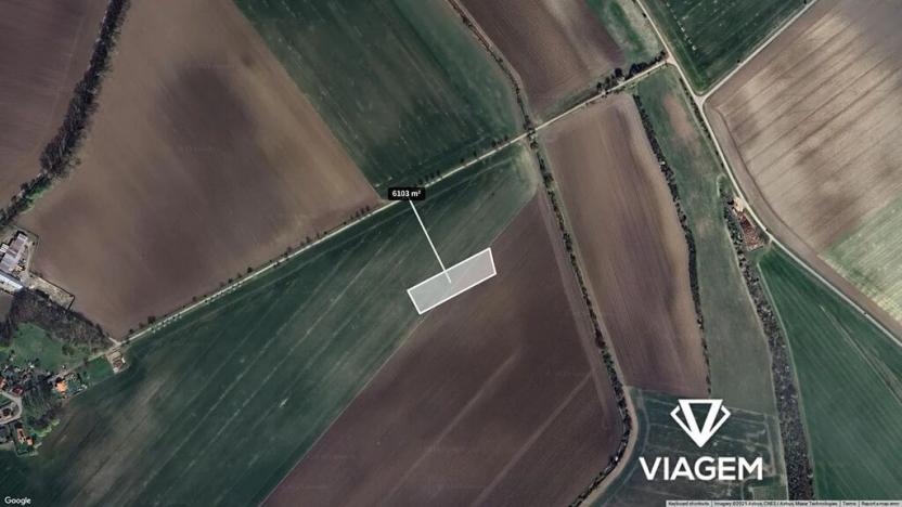 Prodej podílu pole, Třibřichy, 381 m2