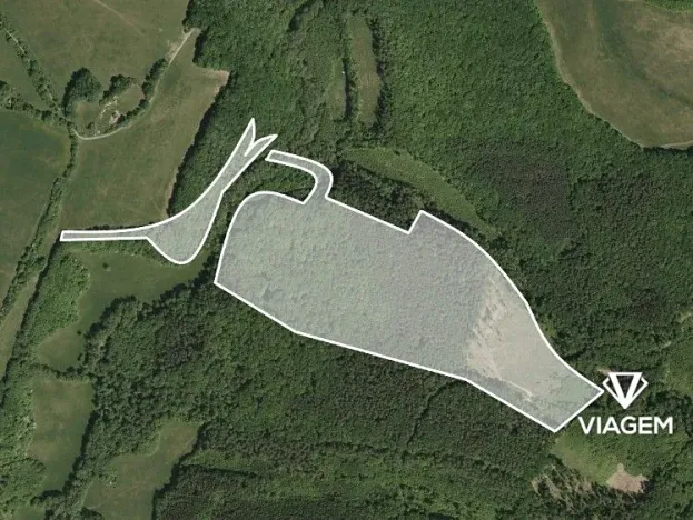 Prodej podílu lesa, Bojkovice, 647 m2