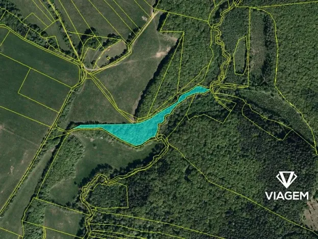 Prodej podílu lesa, Bojkovice, 647 m2