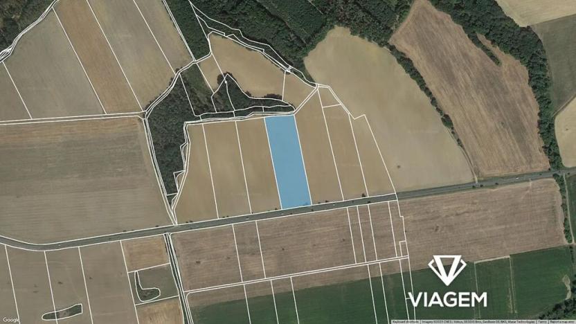 Prodej podílu pole, Horšovský Týn, 1559 m2