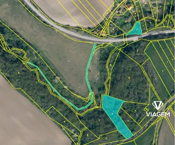 Prodej podílu lesa, Horní Řepčice, 3511 m2