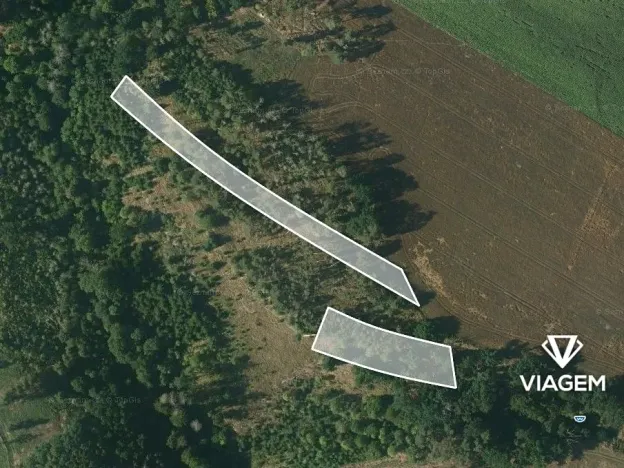 Prodej lesa, Čikov, 2239 m2