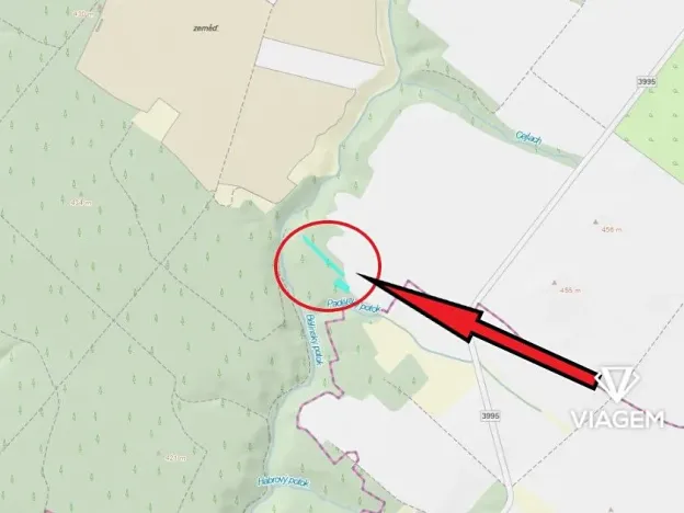 Prodej lesa, Čikov, 2239 m2