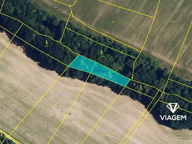 Prodej podílu lesa, Bouzov, 642 m2