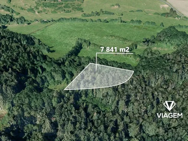 Prodej podílu lesa, Bukovník, 1306 m2